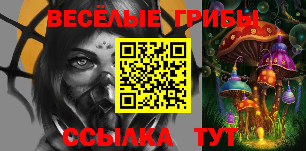 Псилоцибиновые грибы GOLDEN TEACHER Фрязино